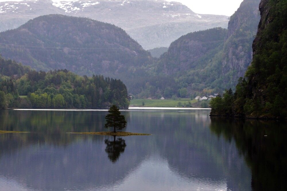 Photograph by Inese Firsova