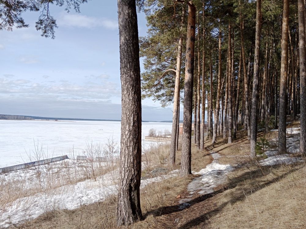 Photo #11958439