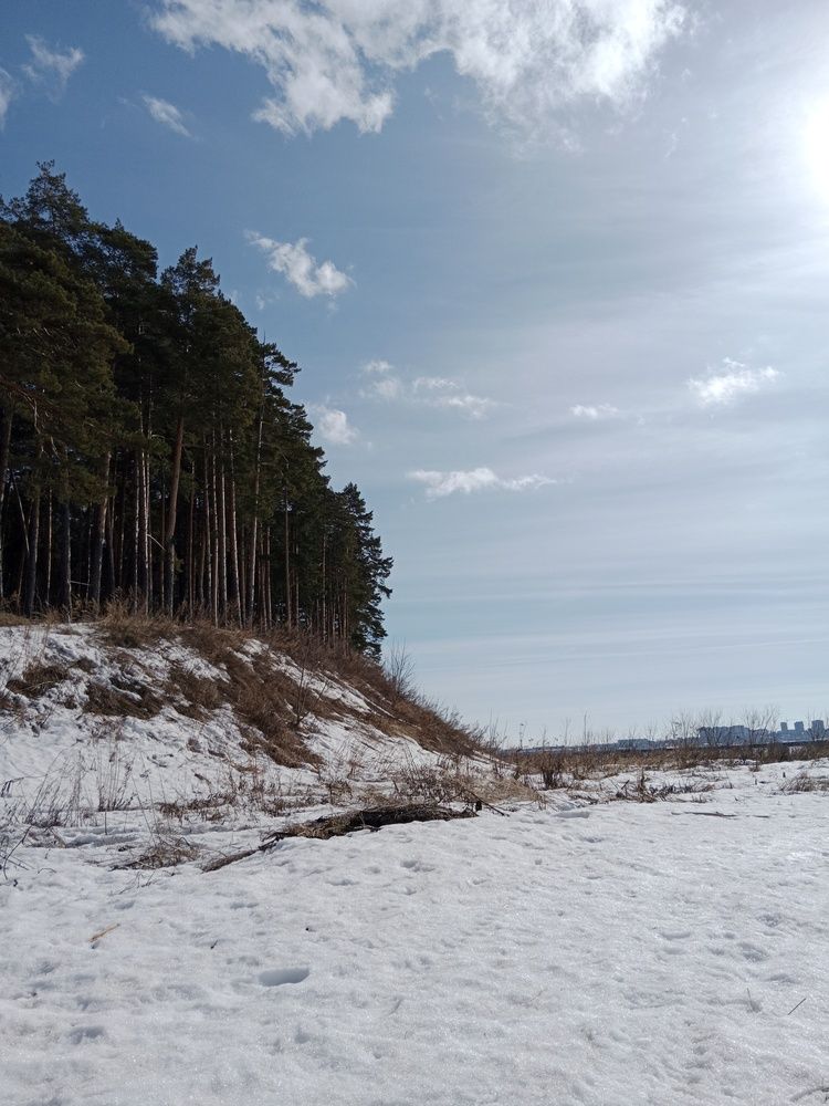 Photo #11958441