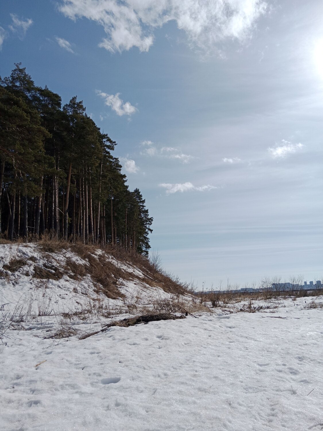 Photo #11958441