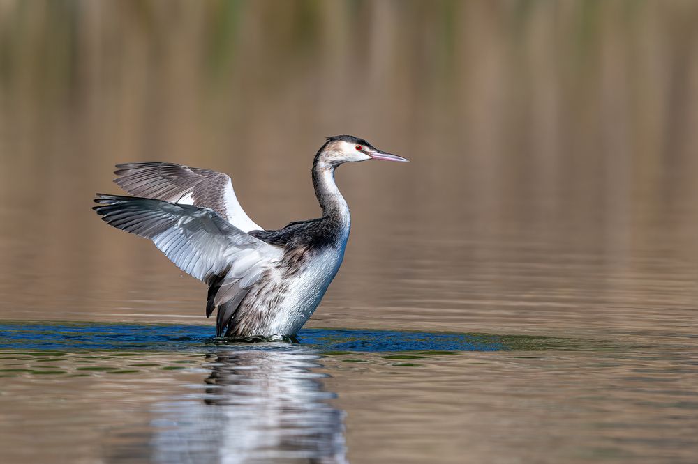 Photograph by Eren Aksoylu