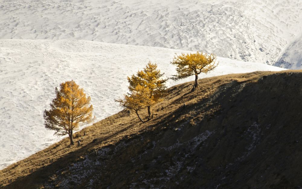 Фотография автора Наталья Фаттахова