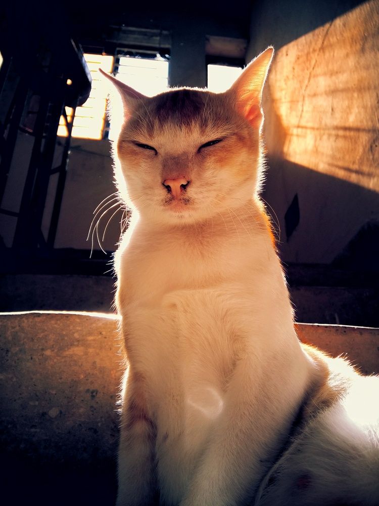 Photograph by Oviul Maruf