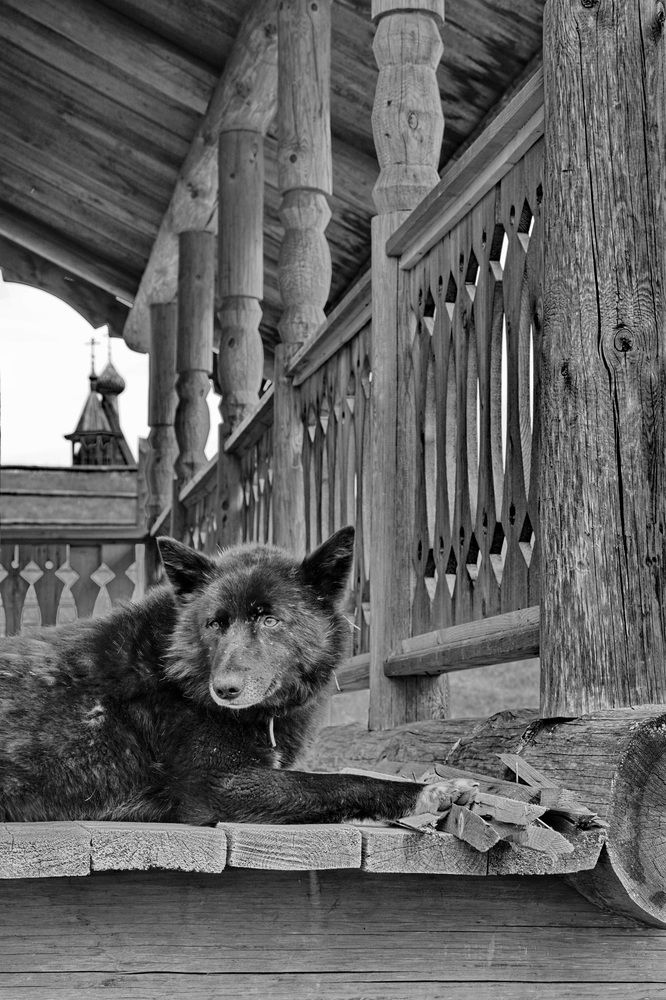 Photograph by Жиляев Евгений