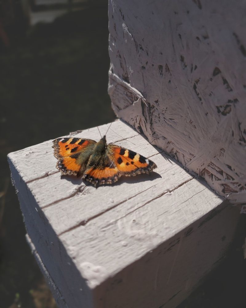 Фотография автора Aliaksandr Kazhdan