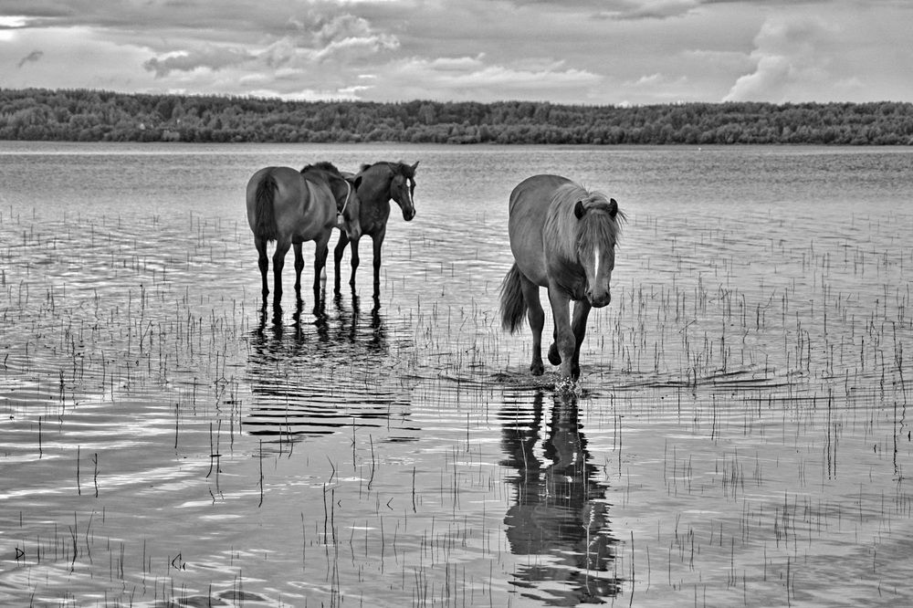 Photograph by Жиляев Евгений