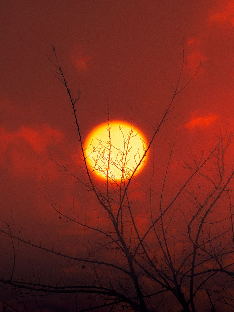 Photograph by Kareem Abo el magd