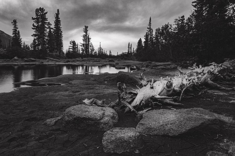 Фотография автора Анна Рыжкова