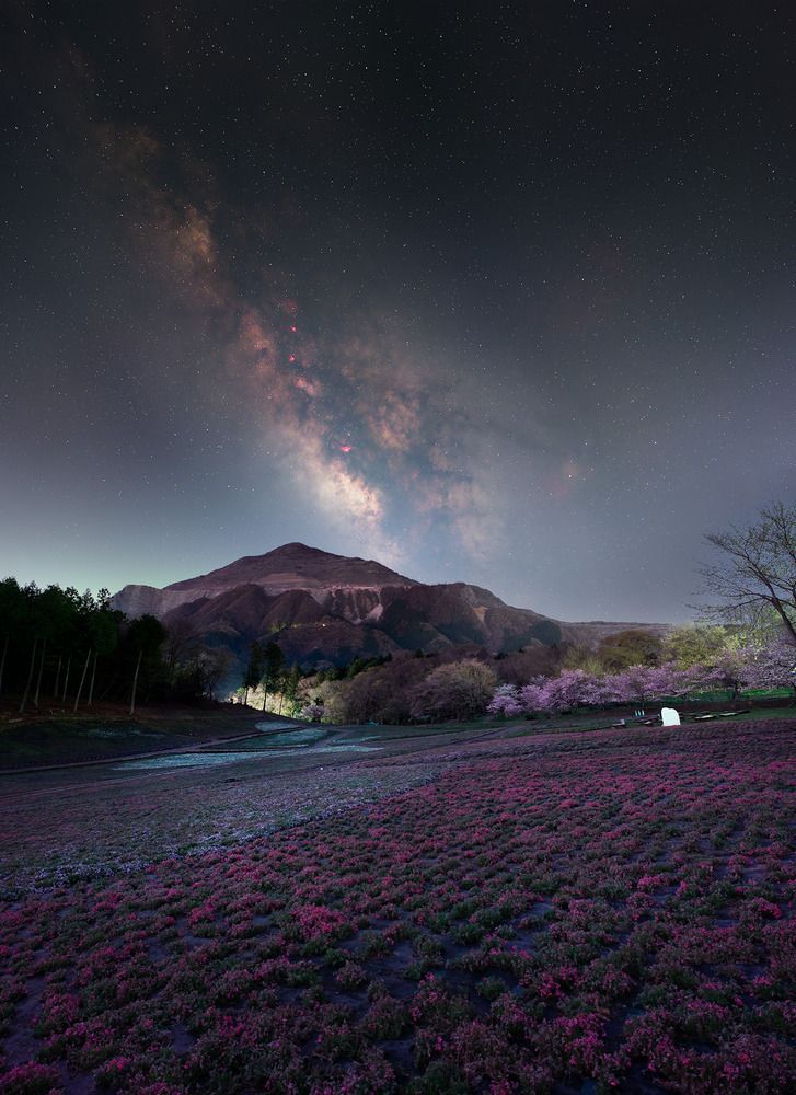 Photograph by LUU HOAI NAM