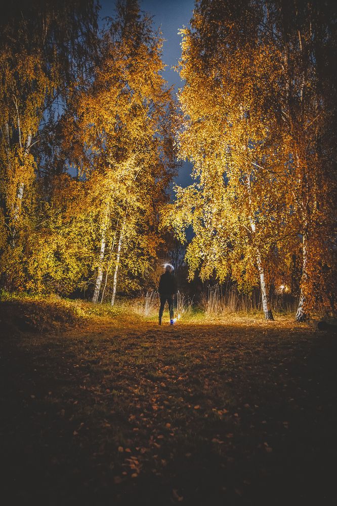 Фотография автора Марис Анкевицс