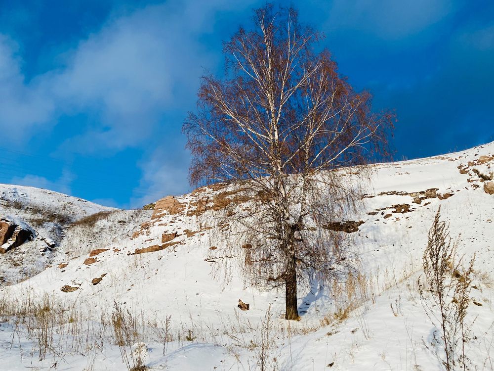 Photograph by Жанна Каргаполова