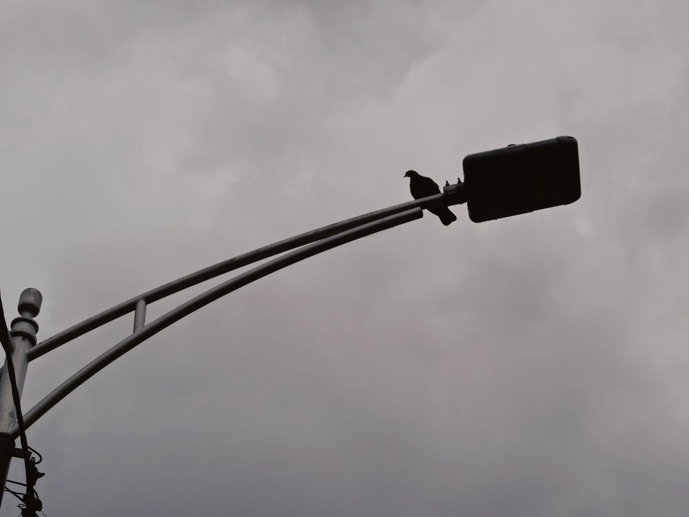 Photograph by Курдюмов Антон