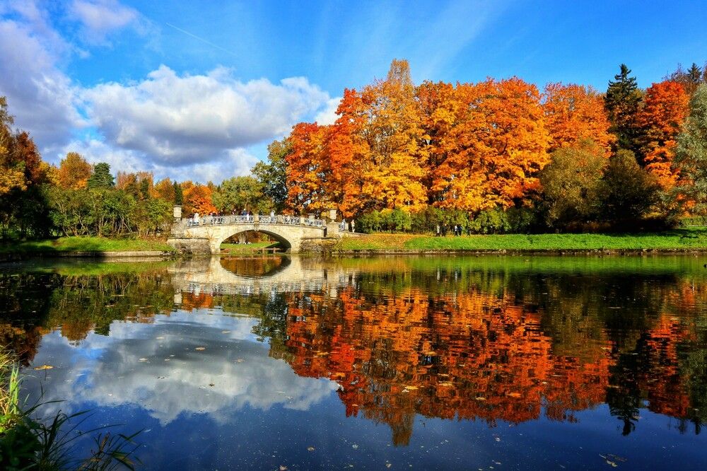 Photograph by Светлана Попова