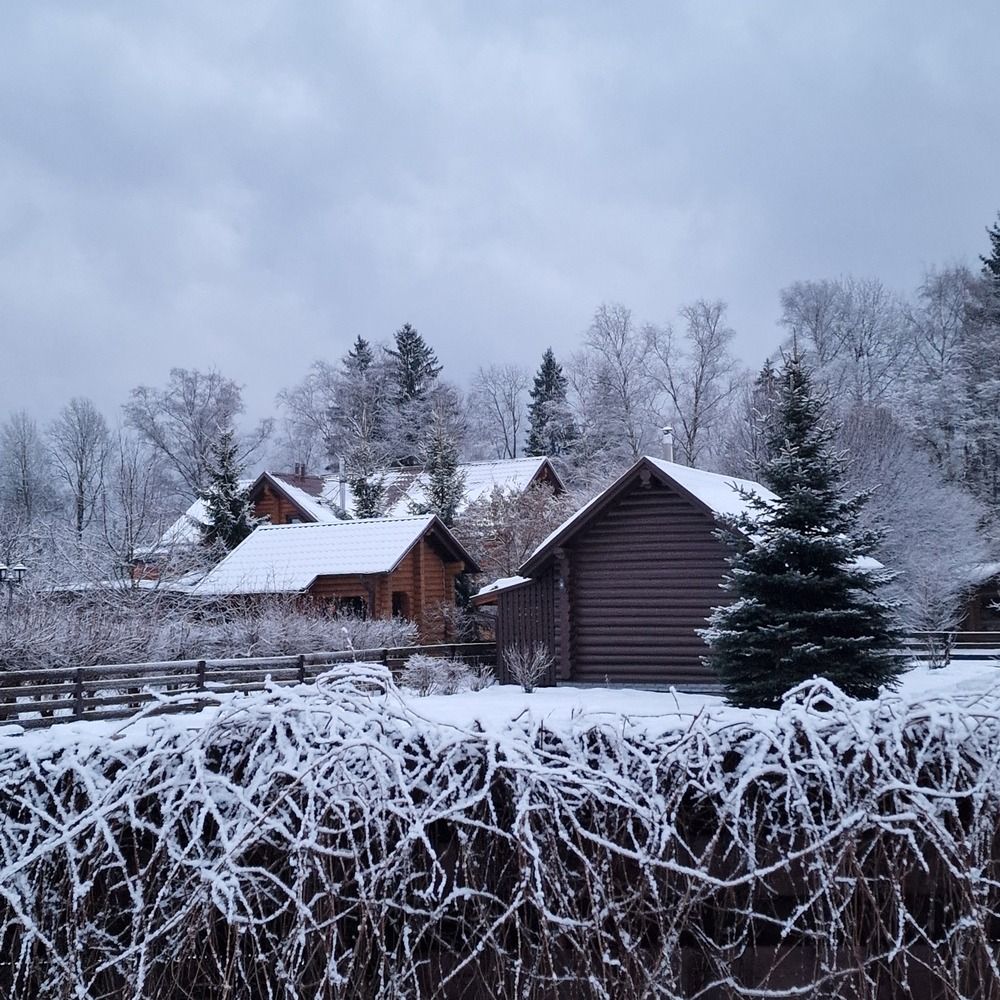 Photograph by Дарья Папсуева
