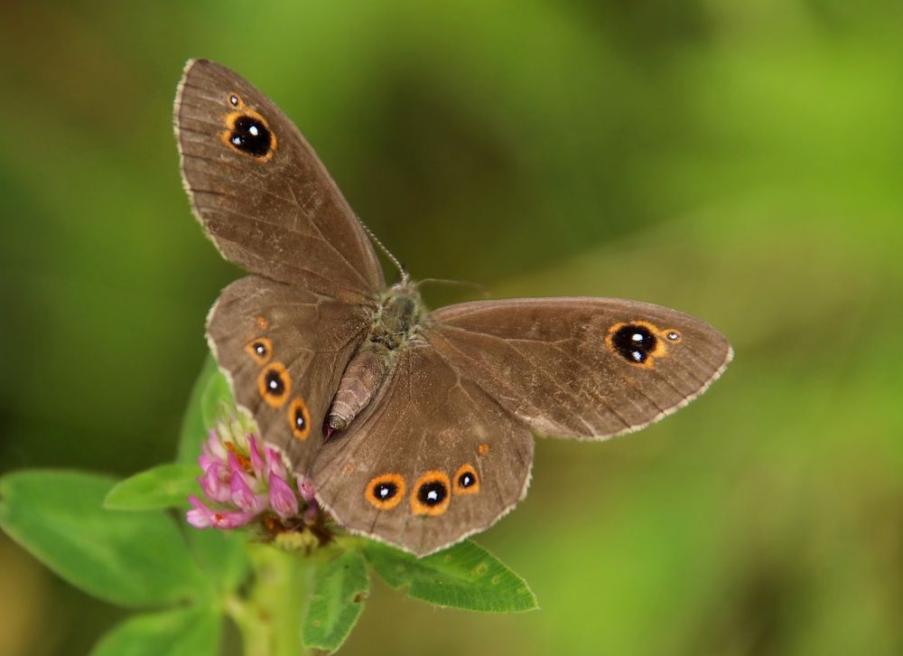 Photograph by Валентина Куренкова