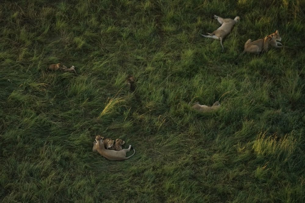 Photograph by Игорь Чебунин