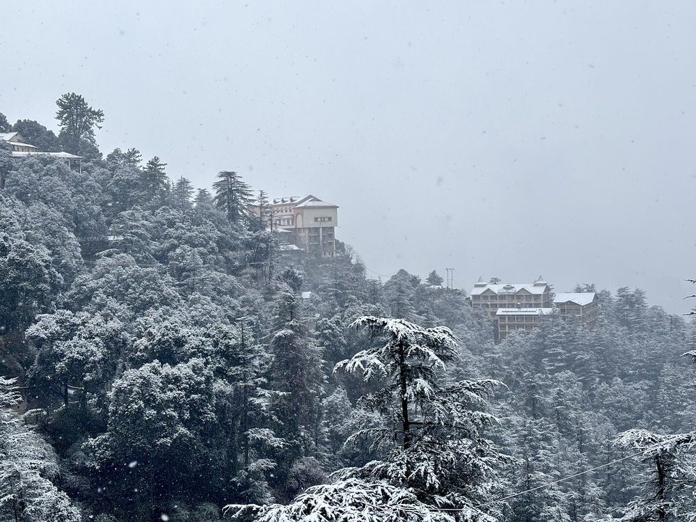Shimla Snowfall