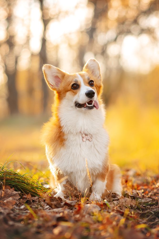 Photograph by Анна Абрамова