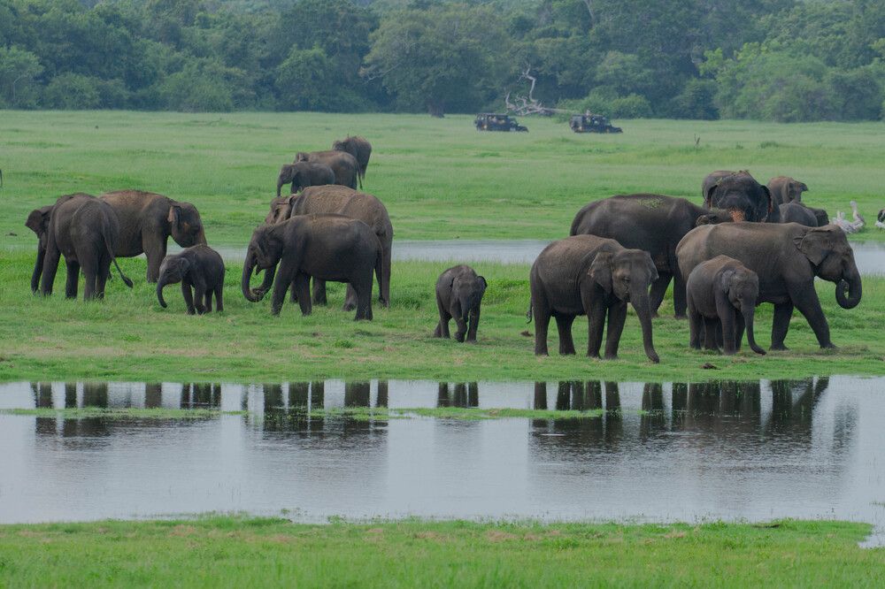 Photograph by Jeirin Anton