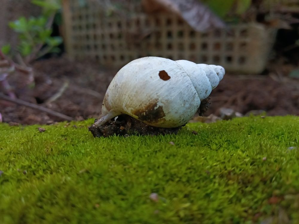 Photograph by kalaichelvam suganya