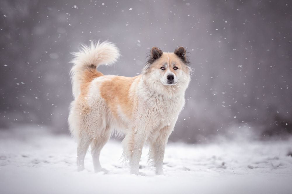 Photograph by Eva Bos