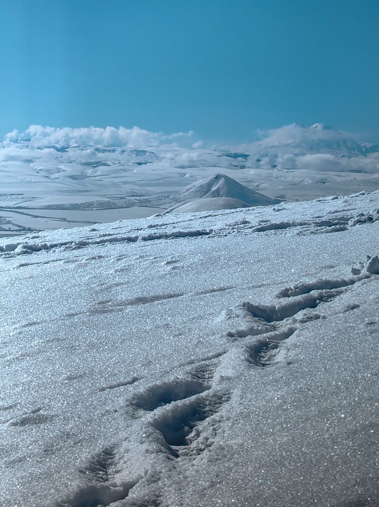 Photograph by Igor M.