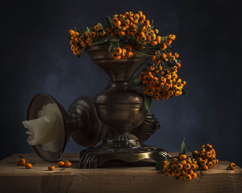 Photograph by Солодар Виктория