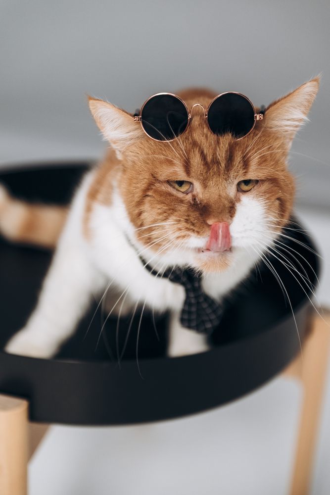 Photograph by Анастасия Герасимова