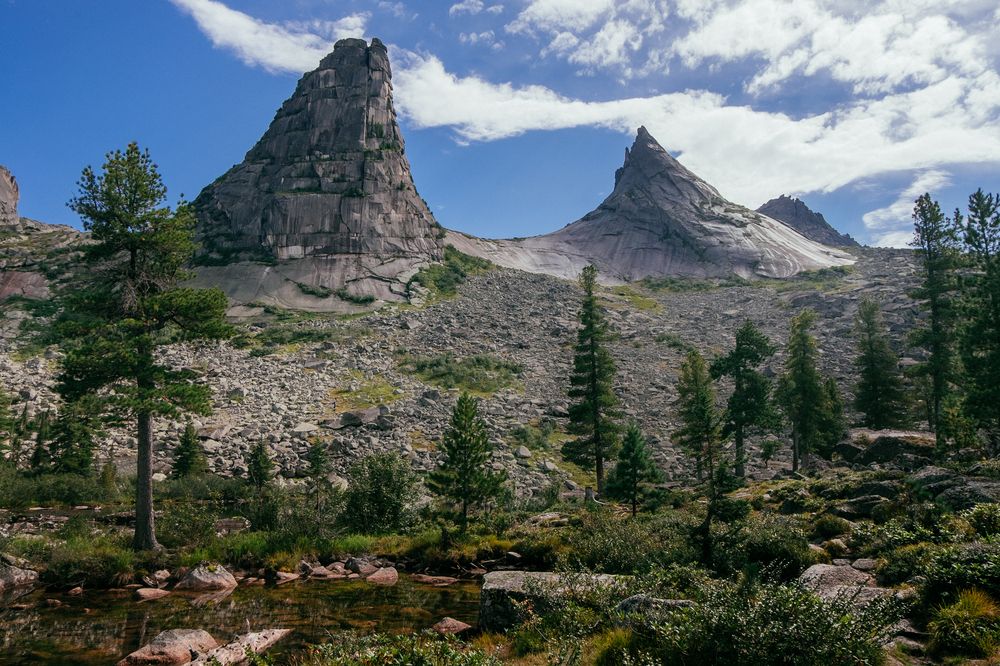 Фотография автора Анна Рыжкова