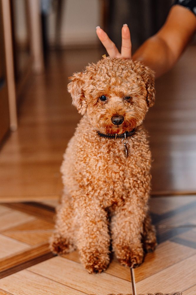 Photograph by Дмитрий Бровко