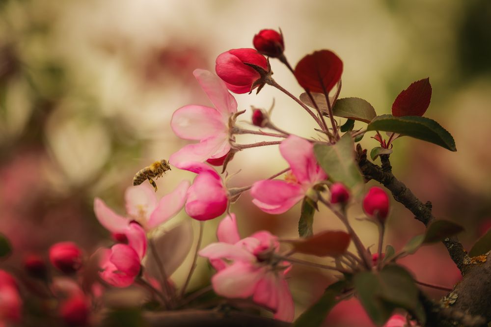 Photograph by Tatyana Baskakova