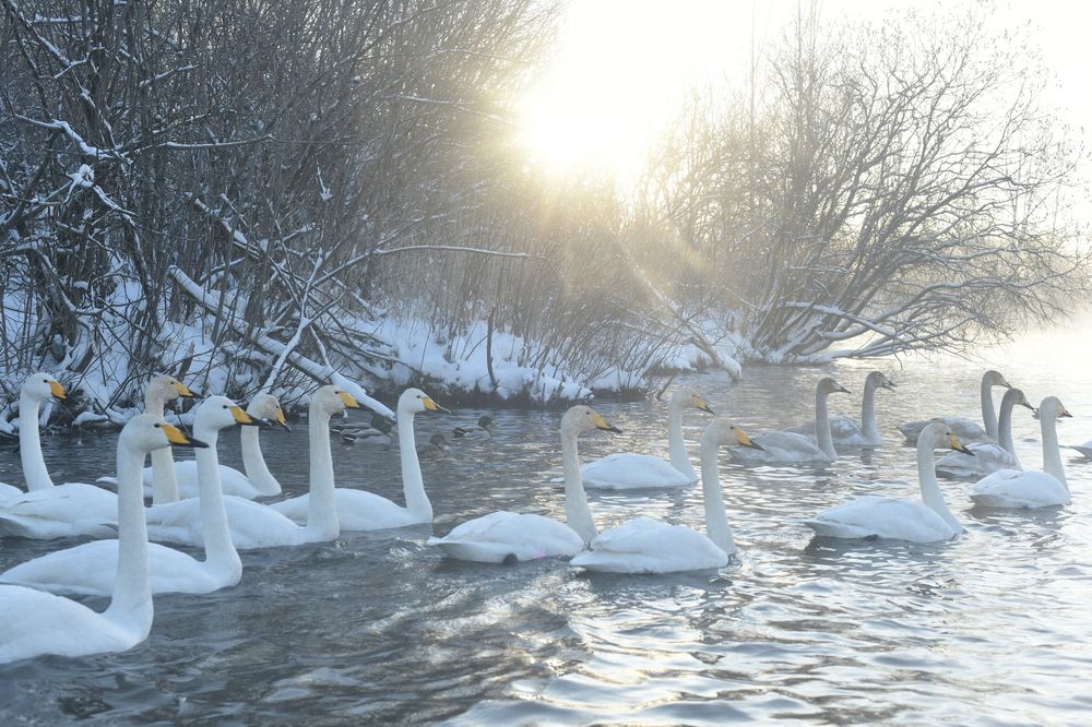Photograph by Николай Штокало