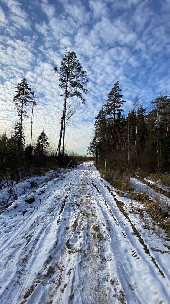 Зимняя дорога