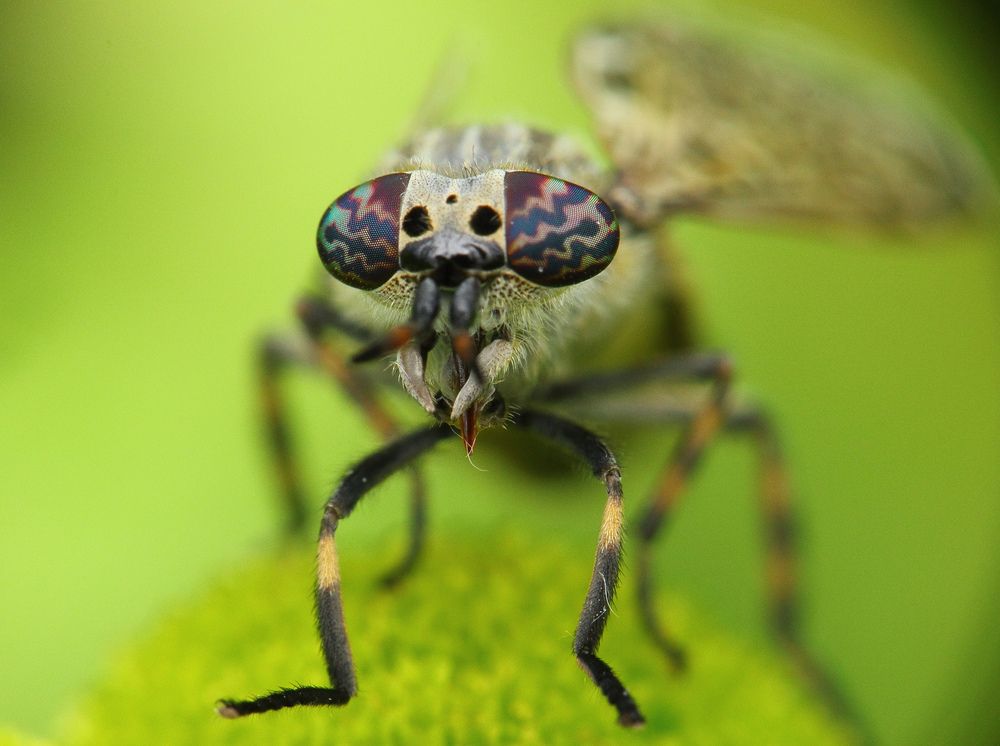 Photograph by Алексей Соколов