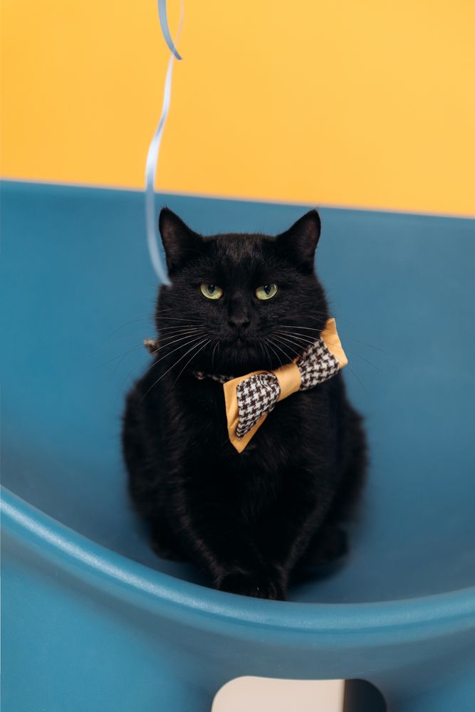 Photograph by Анастасия Герасимова