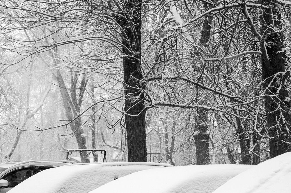 Photograph by Нестеренко Светлана