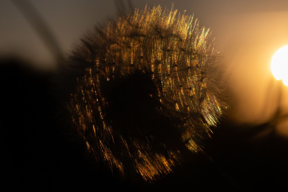 Photograph by Сергей Калинин