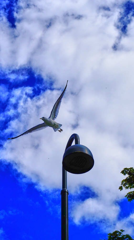 Фотография автора Kris Paske