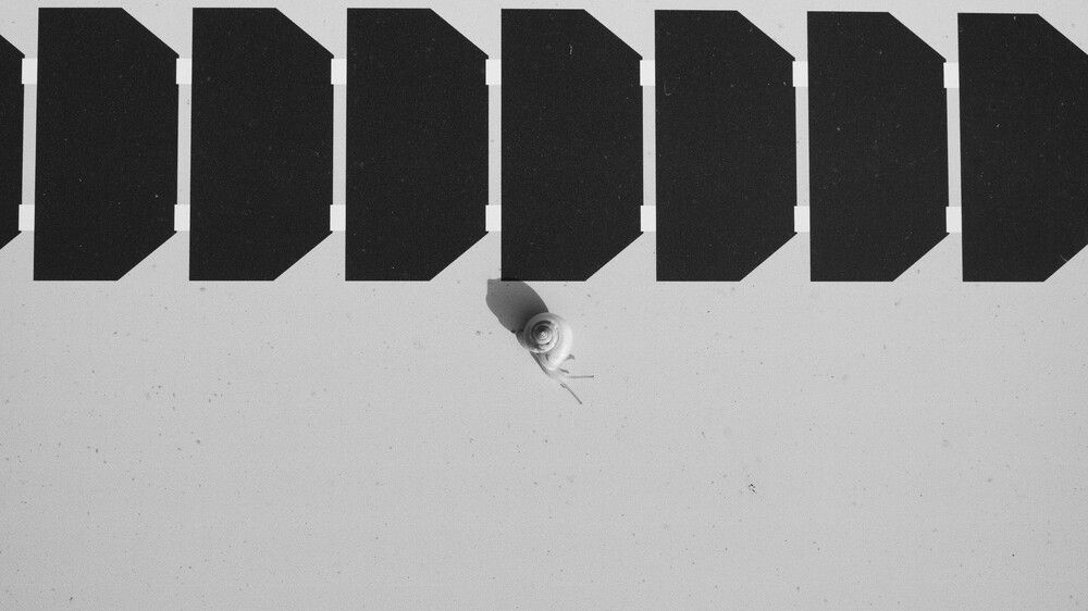 Фотография автора Maksymilian Nehrebecki