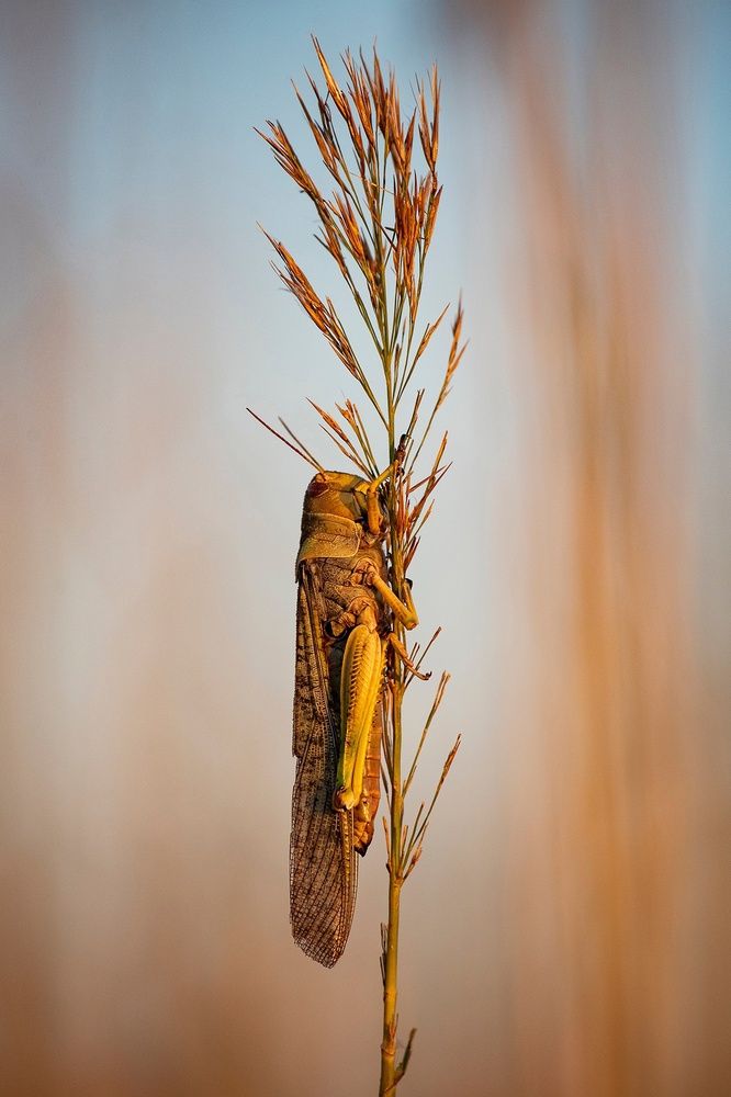 Photograph by Gurdina Lena