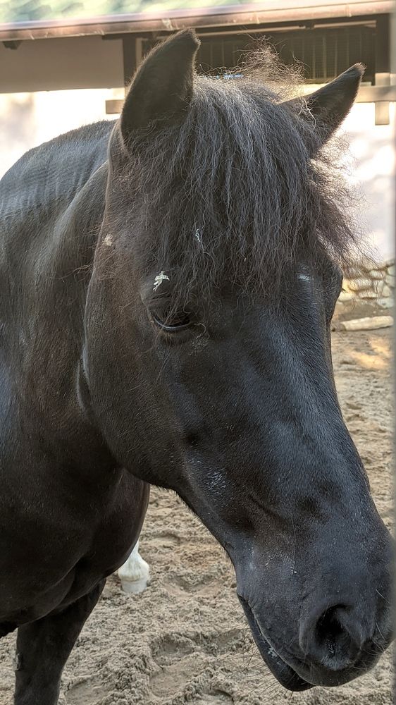 Фотография автора Васильева Ирина