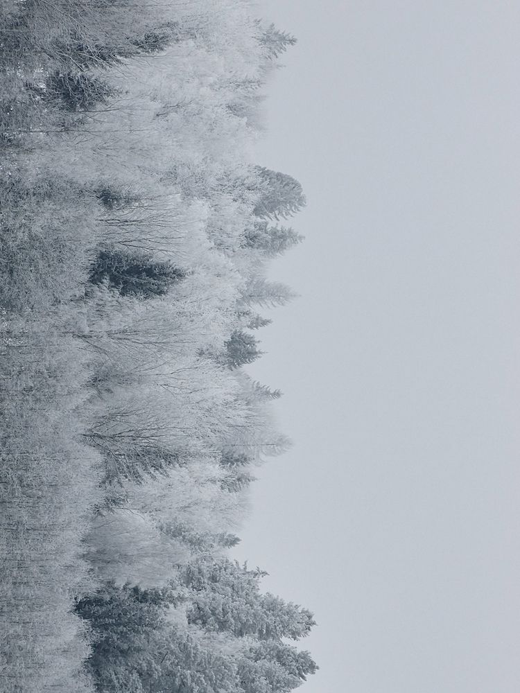 Photograph by Светлана Маримонова