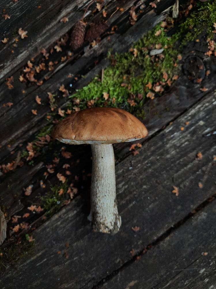 Photograph by Ирина Заворуева