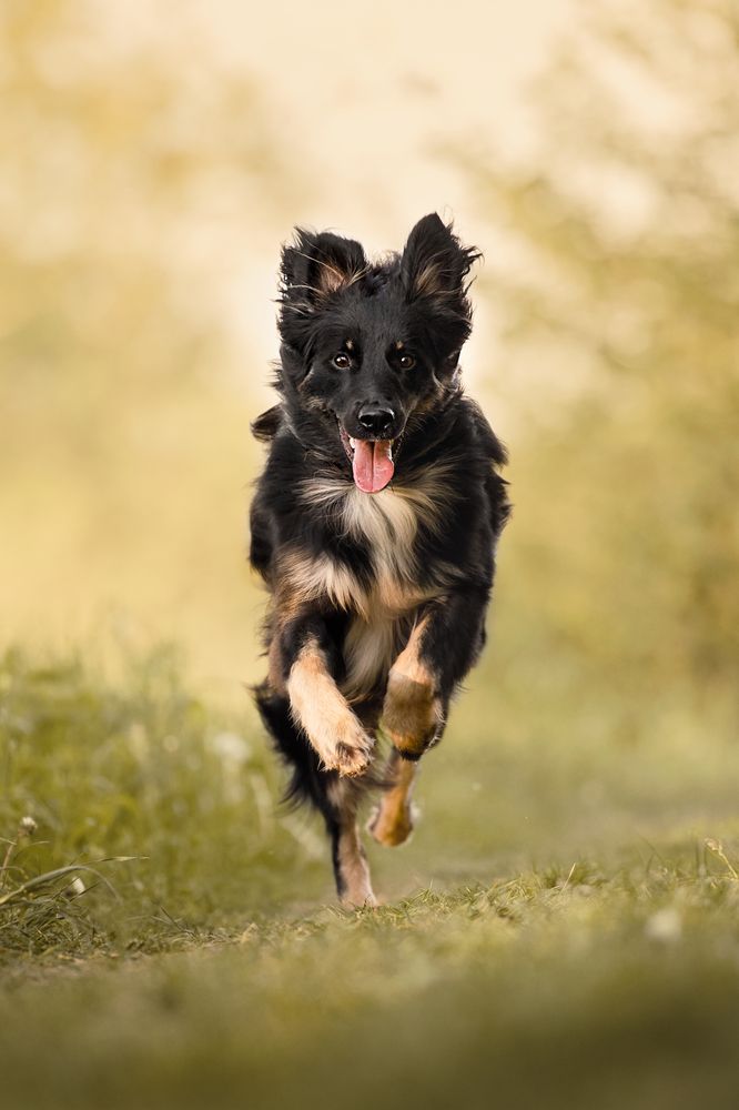 Photograph by Monika Maciejewska