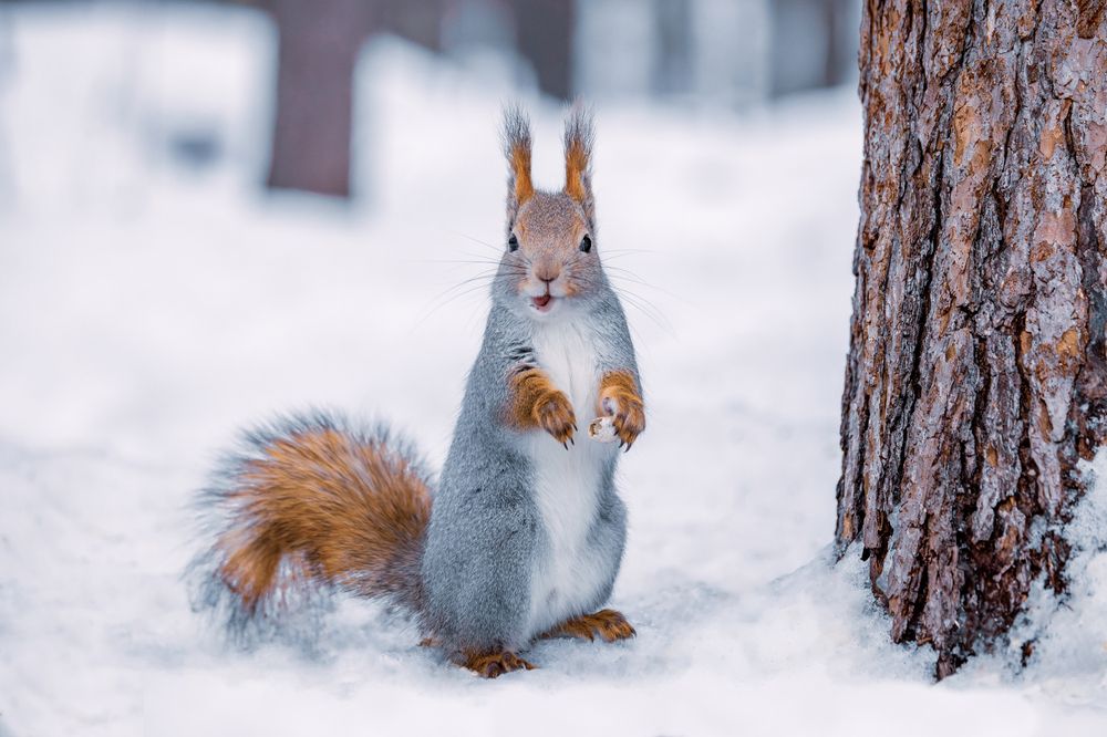 Photograph by Valentin Kolinko