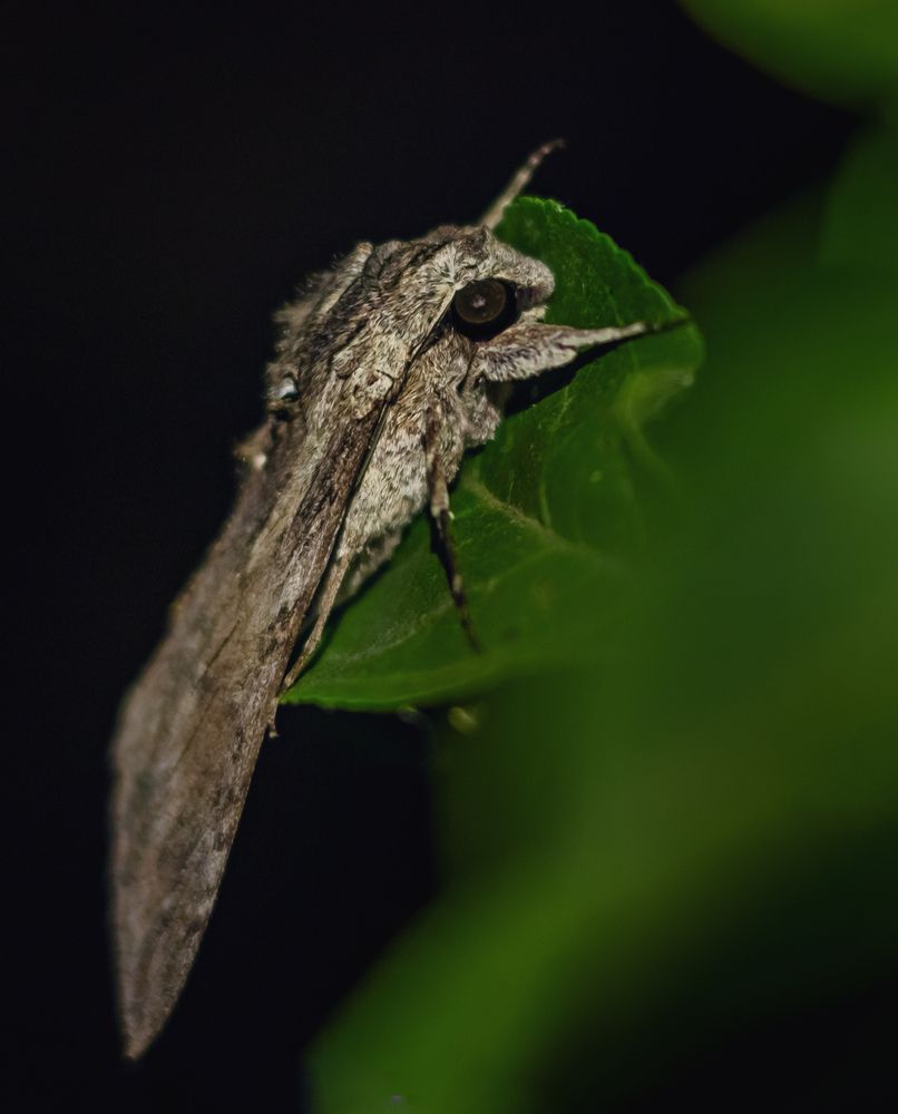 Photograph by Tatyana Baskakova