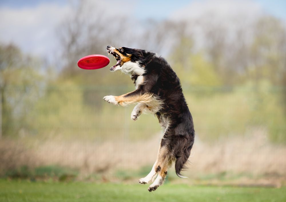 Photograph by Monika Maciejewska