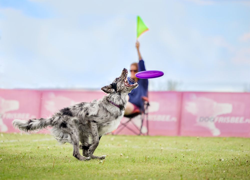 Photograph by Monika Maciejewska