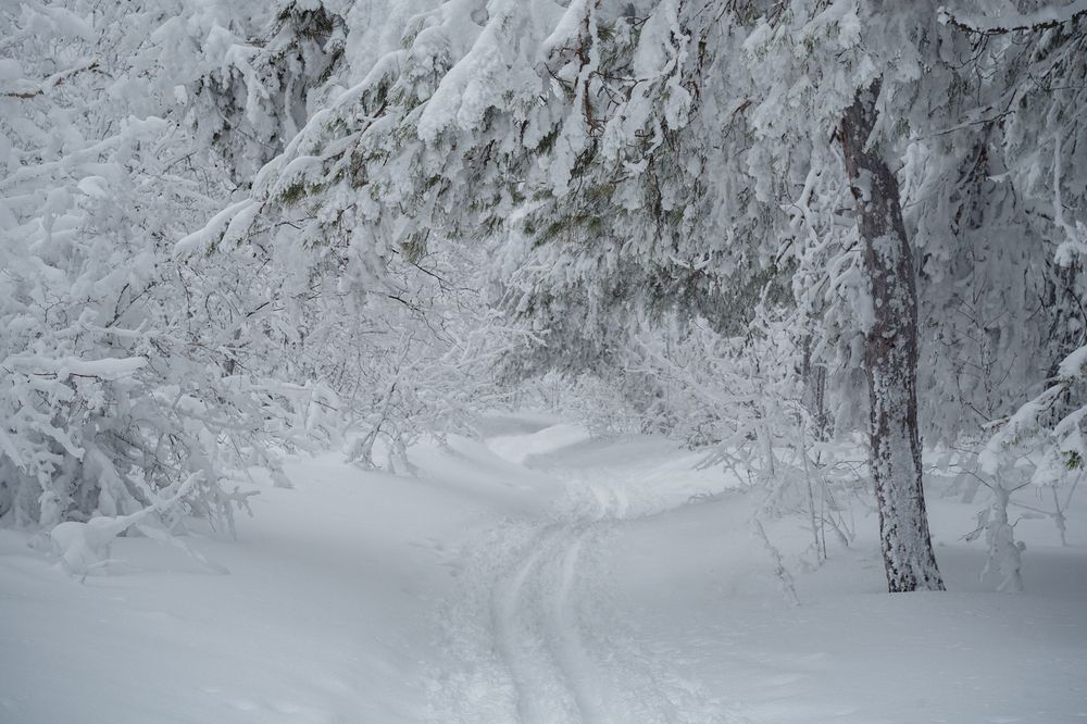 Photograph by Блашкин Павел