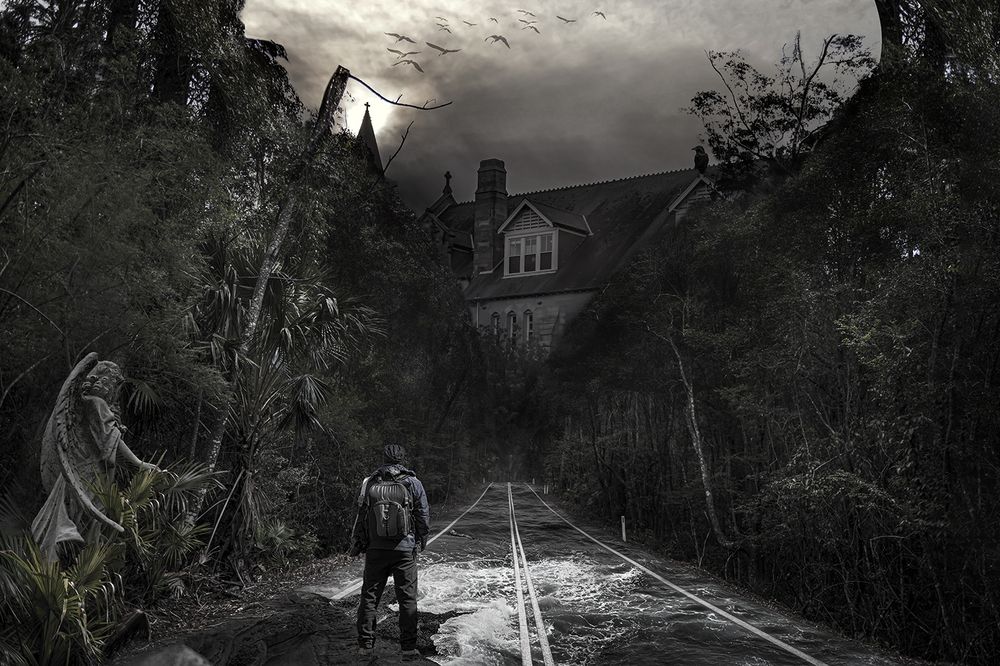 Photograph by Mohammadreza Pourian